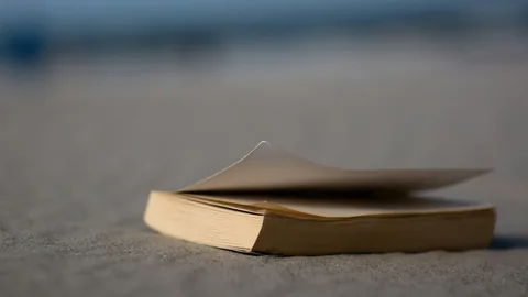 A slim paperback lying open face-down on sand at dusk, a single page lifted and curling, the sea a soft blur of grey and blue behind it. Photo: Lennart Heim / Unsplash.