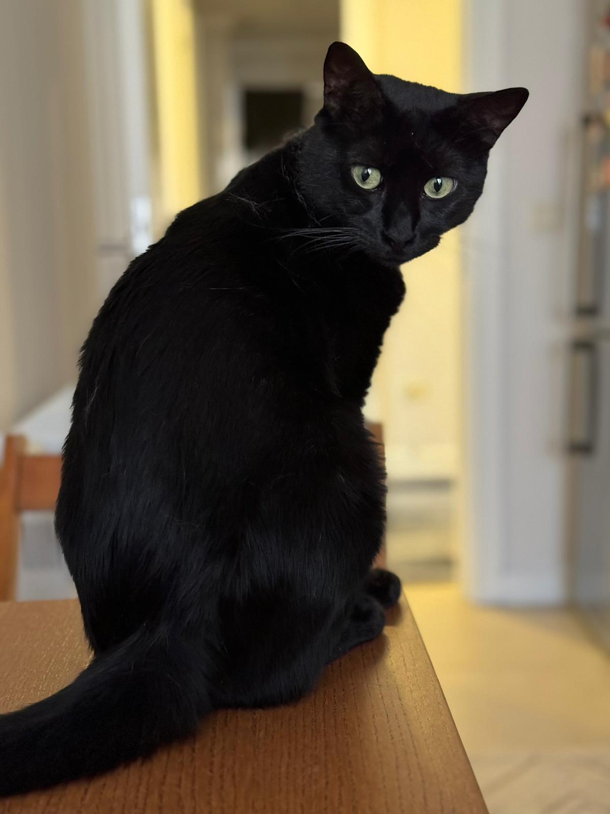 Moris – The one who made it to the cover